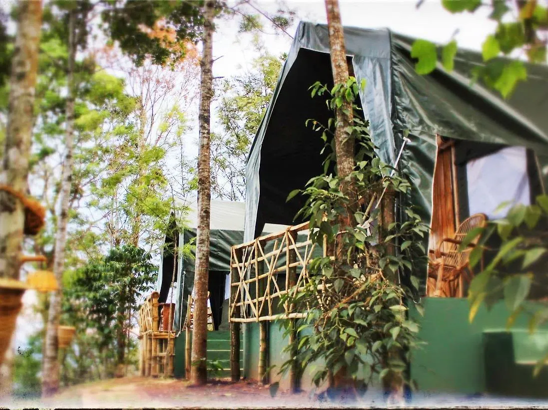 Season7 The Nature Resort Munnar