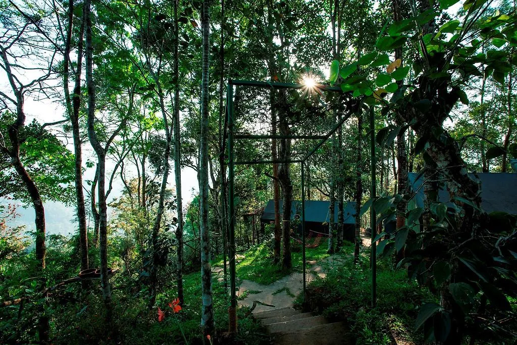 Season7 The Nature Resort Munnar