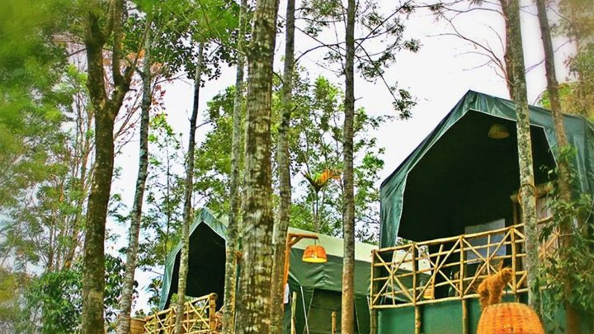Season7 The Nature Resort Munnar