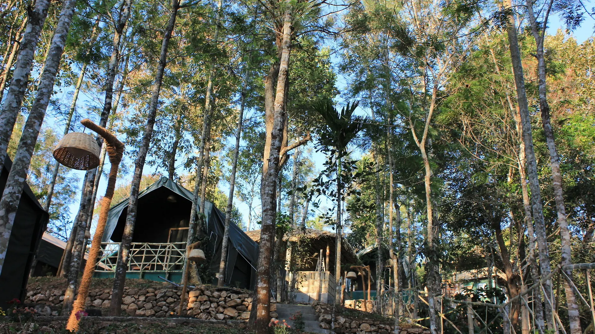 Season7 The Nature Resort Munnar