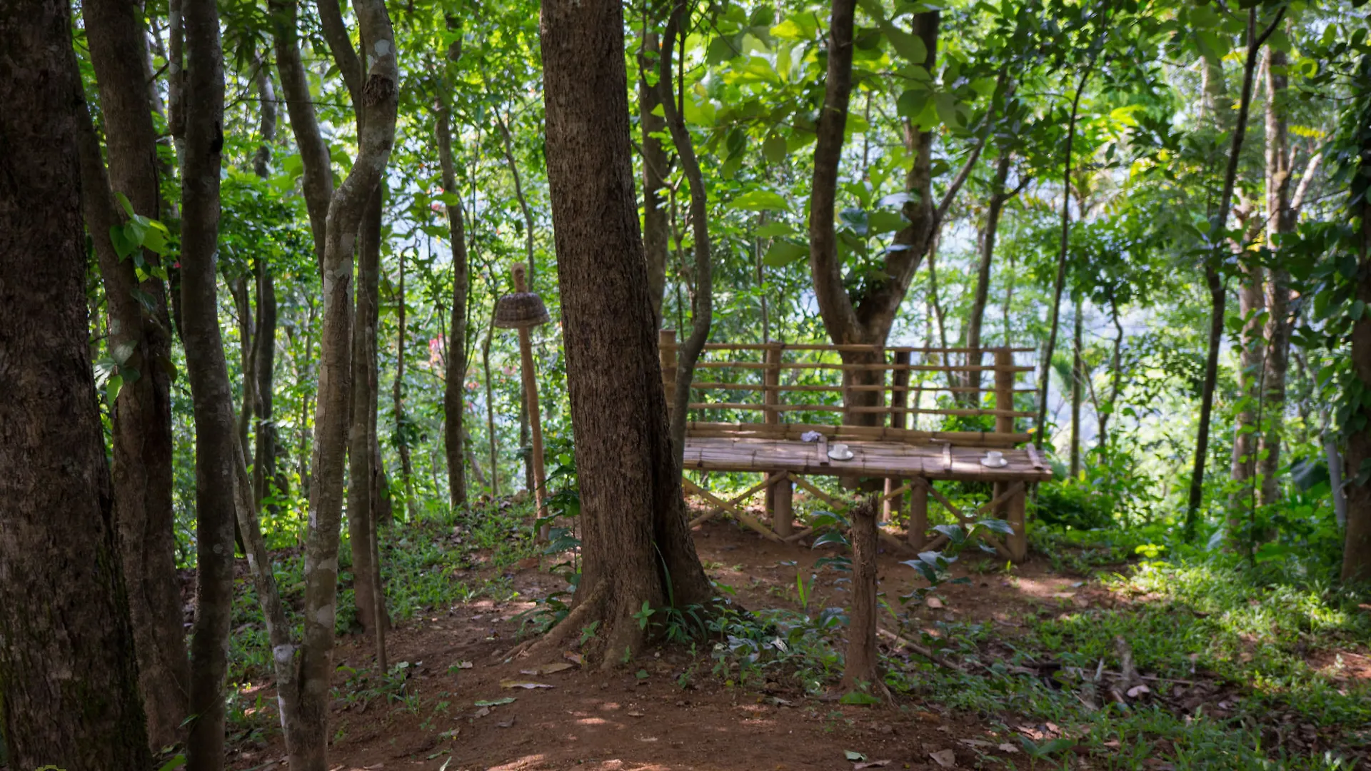 Season7 The Nature Resort Munnar